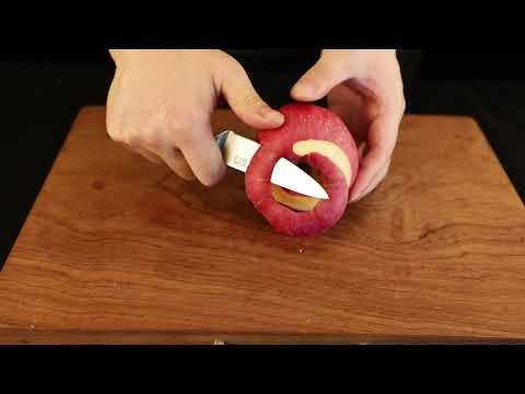 Couteau d'office en acier allemand 3.75 